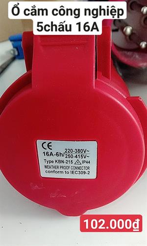 Ổ cắm công nghiệp 5 chấu 16A